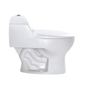 Toilette standard américaine en céramique